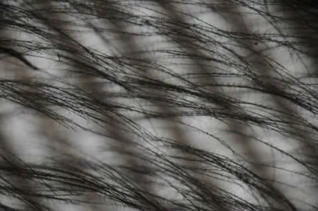 �ƌW�����Ƴ�����Ϳ�� ʹ�L���l늙C���o����