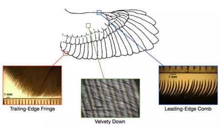 �ƌW�����Ƴ�����Ϳ�� ʹ�L���l늙C���o����