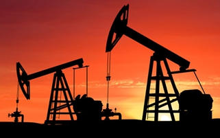 ���_˹ʯ�ͻ���2044��ݽ�