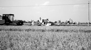 ���Ļ��r���Ȍ��F�r����w���ȫ���w