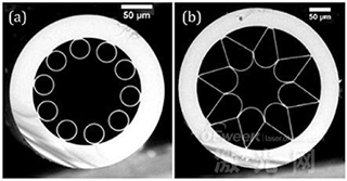 Ӣ���о��ˆT�аlһ�N���ͼ�����ͻ���L�����_�y�}