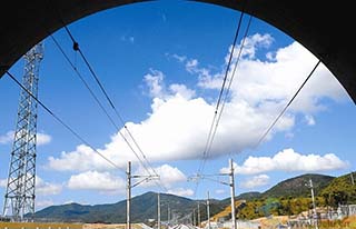 ��һ�N���|�W�̶�̥�ߡ��@�������͌����C��