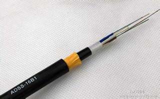 ADSS���|��Ҋ���¹ʬF(xi��n)����A(y��)������